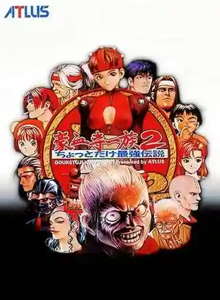 Power Instinct 2