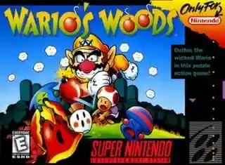 Wario's Woods
